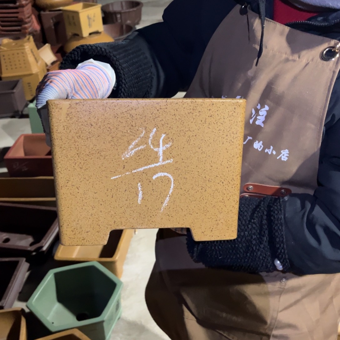 紫砂花盆盆景艺术