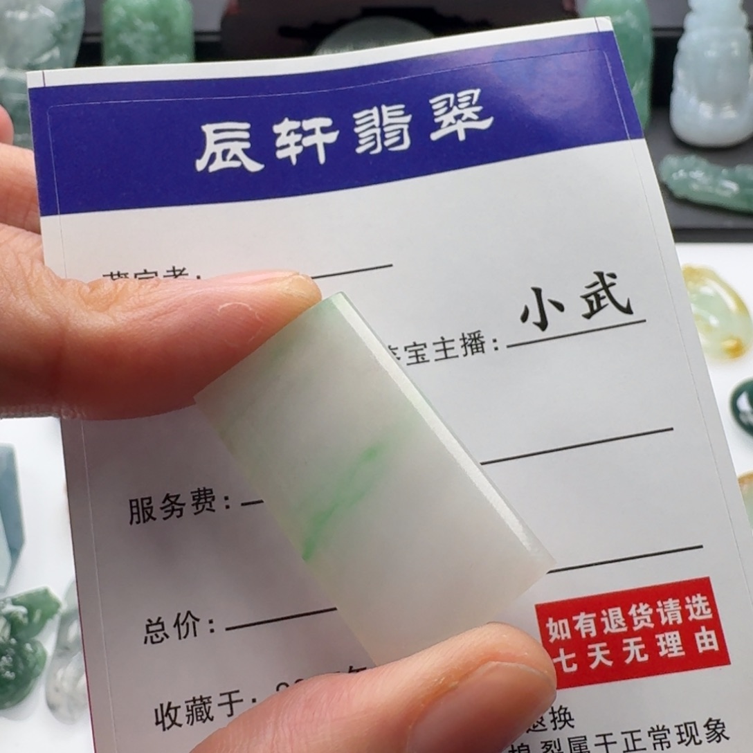 翡翠未镶嵌颈饰      16