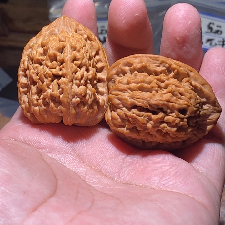 一***醒文玩核桃吊坠35全品蚂蚁王