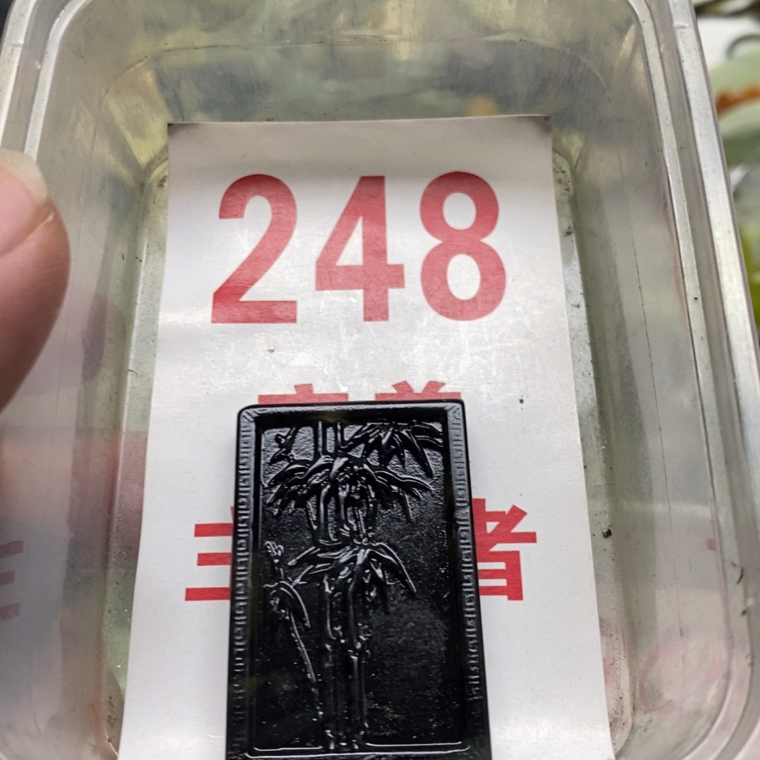 蛇纹石玉挂坠未镶嵌