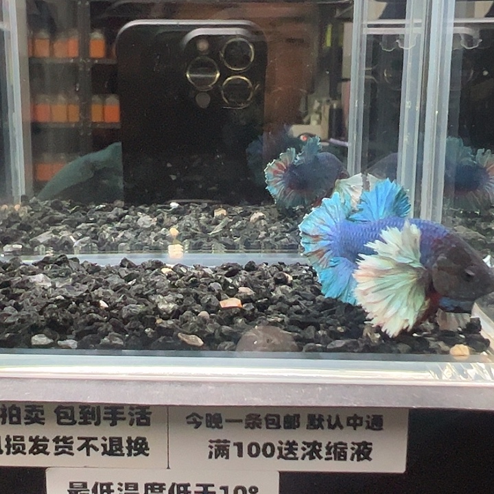 斗鱼跑单拉黑30日93