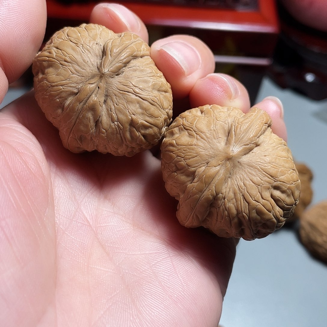 核桃手串/手链精品元宝37