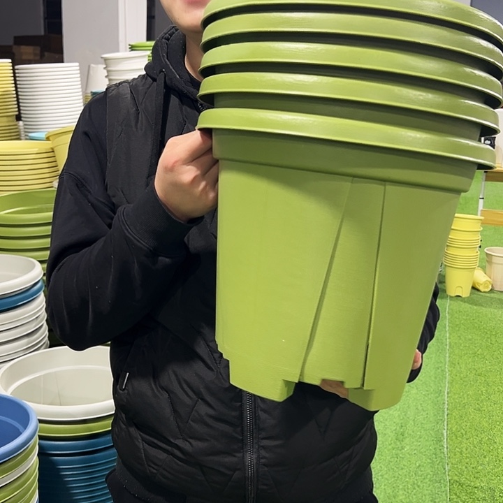 清仓青山口32高28果绿色5只无托