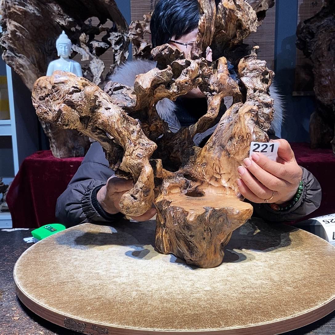 221。株木随行根艺