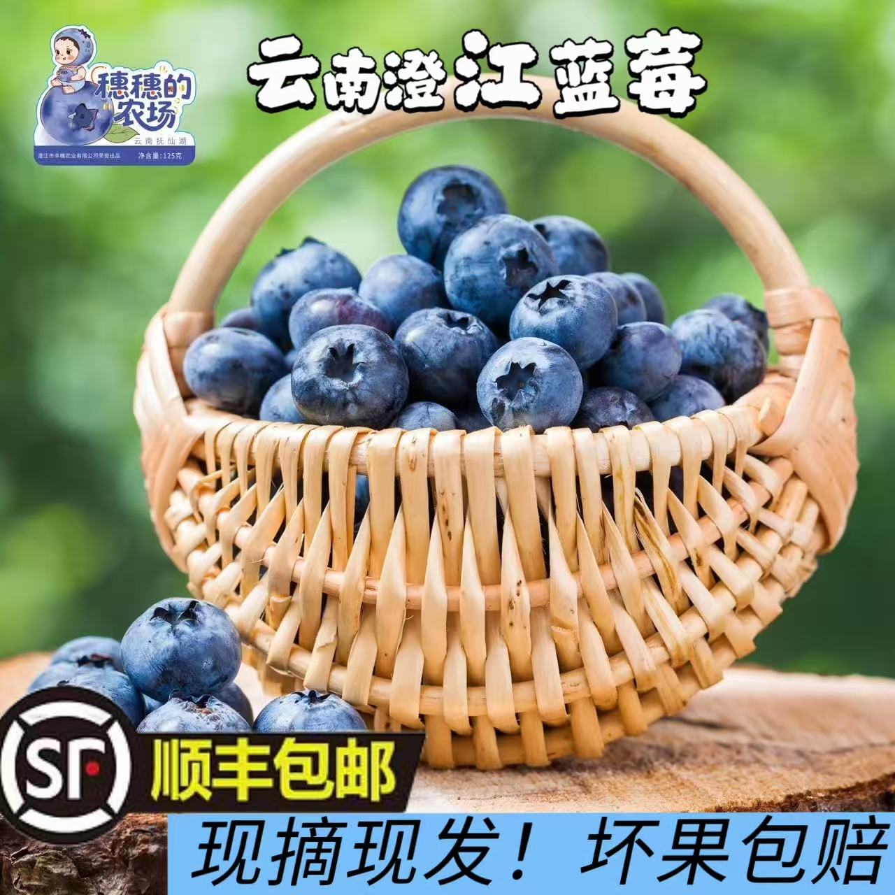 云南澄江蓝莓新鲜现摘现发蓝莓酸甜可口