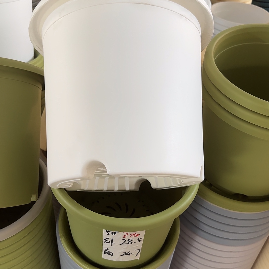 微瑕6号无托，白色7个