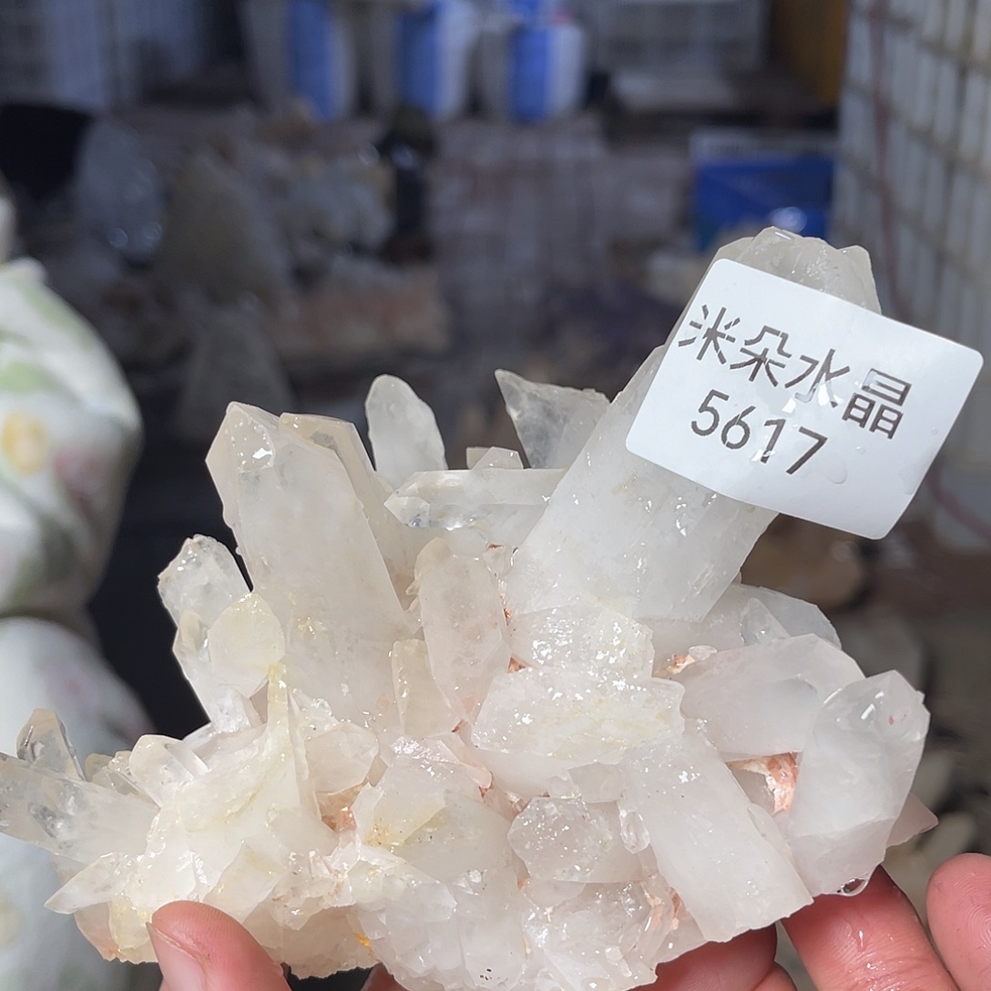赵****未镶嵌珠宝半成品水晶