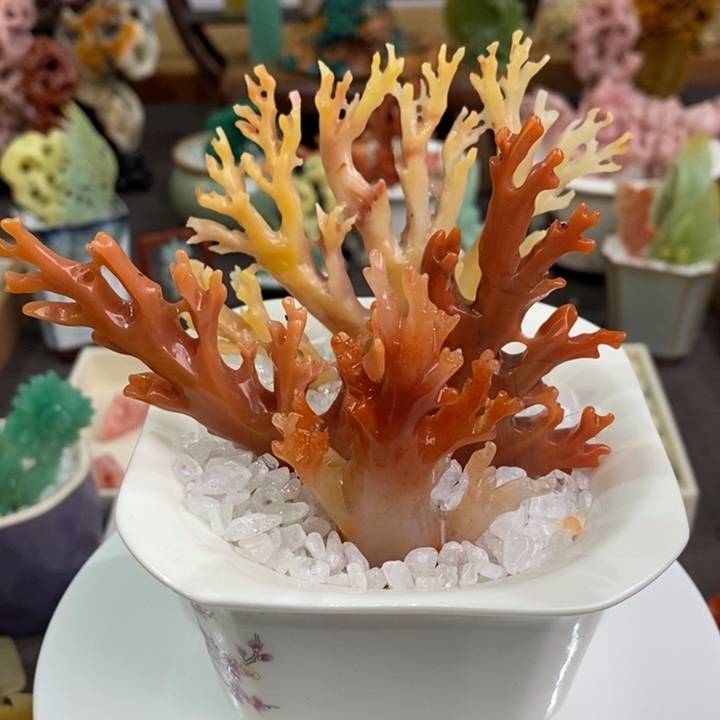 茫***啦老挝石珊瑚补差价