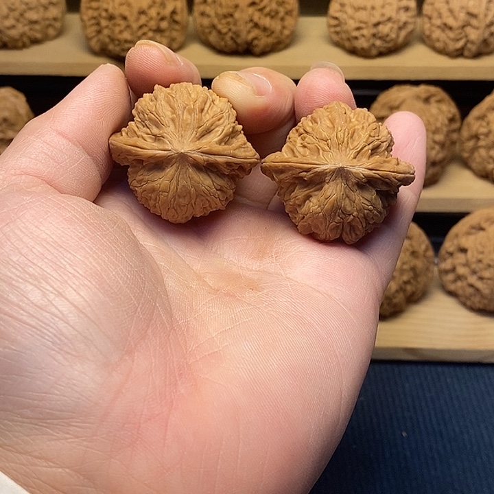 核桃37山地红皮磨