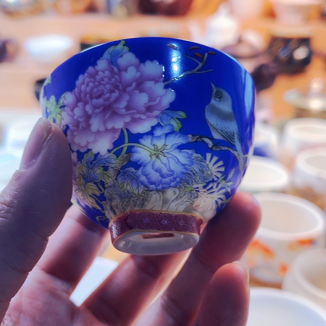 杯主人杯主人杯z如果主人过