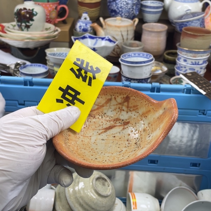 碟开播了开播了开播了