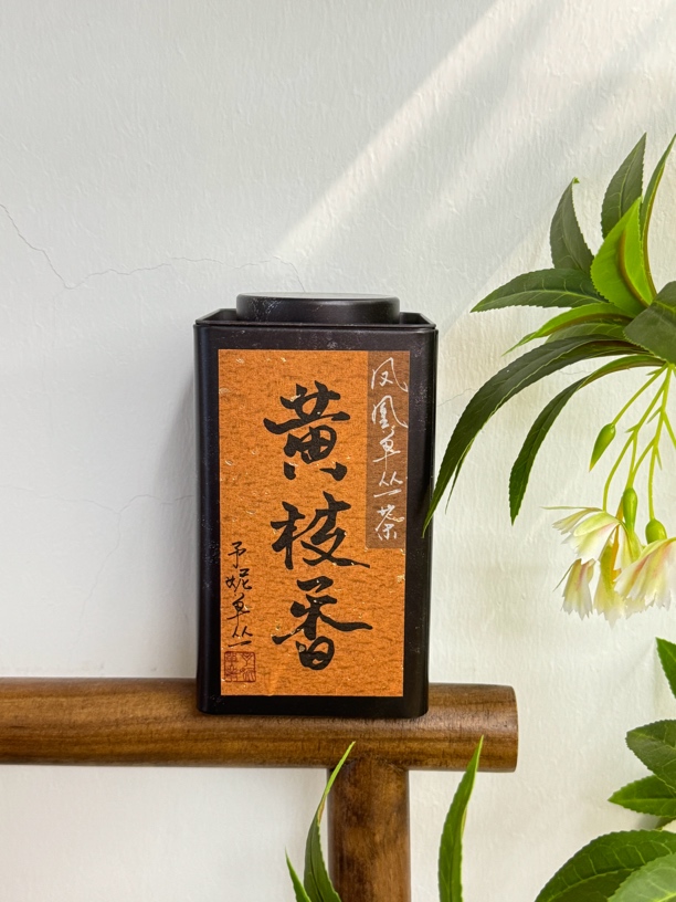 【黄枝香】栀子花香馥郁 醇厚饱满 老茶客的宝藏口粮茶