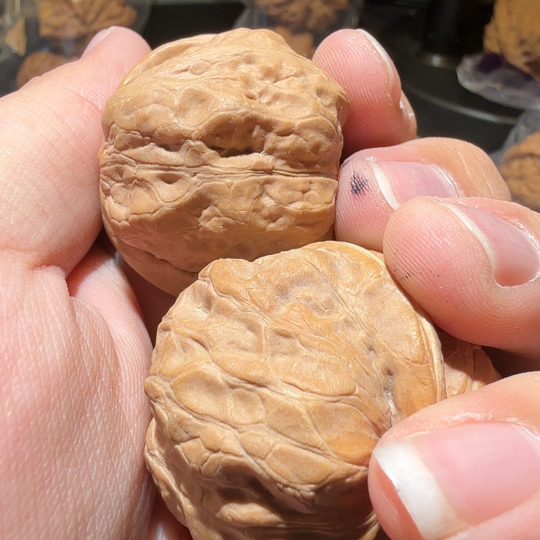 文玩核桃把件用****0玉蟾