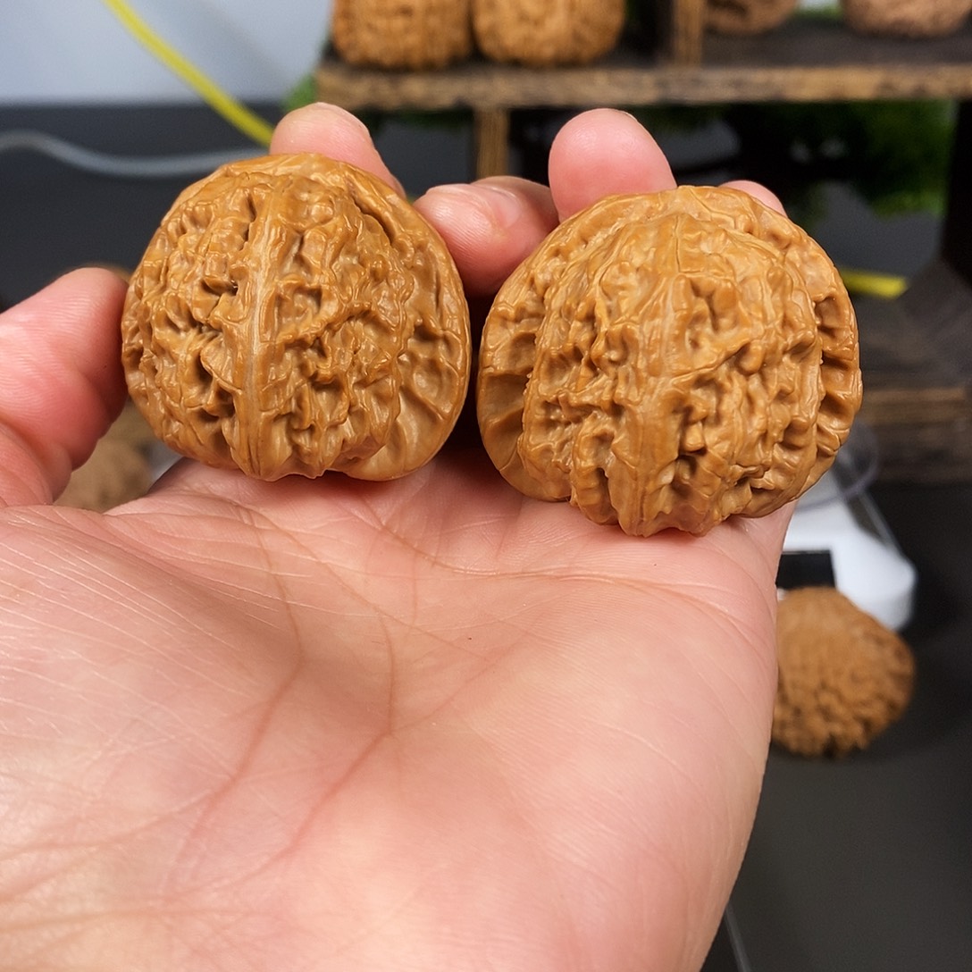 把件文玩核桃老树红皮白狮子骨质棒