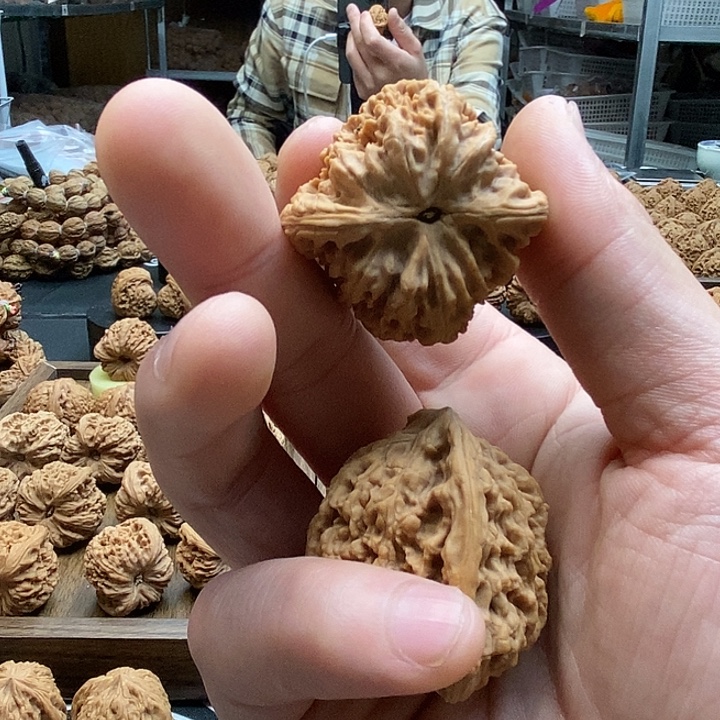 佛***爷大叶紫檀（黑酸枝木类）南将