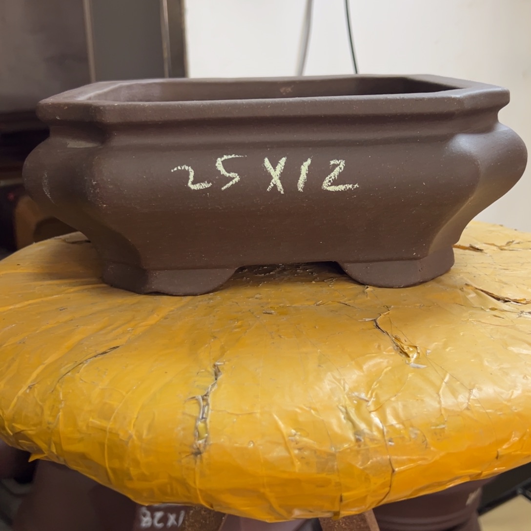 紫砂花盆呜呜呜呜呜我