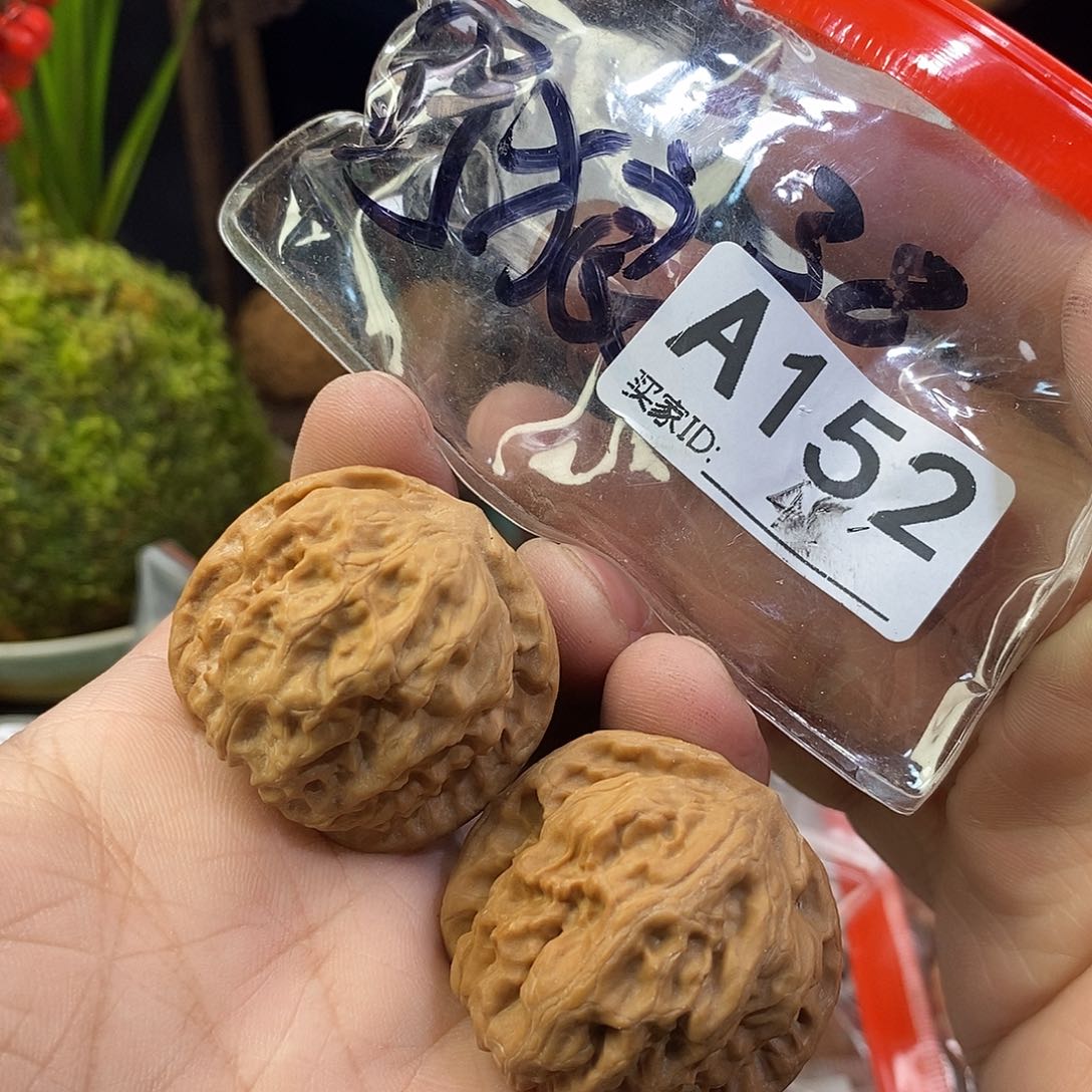 桃核把件野狼。   38尺