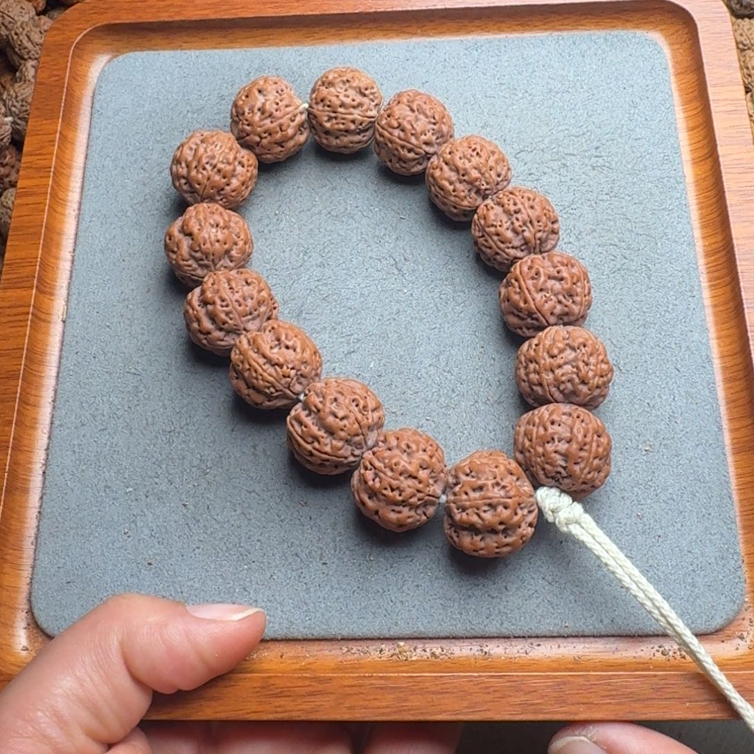 菩提菩提14号尼泊尔大金刚21满肉梅花