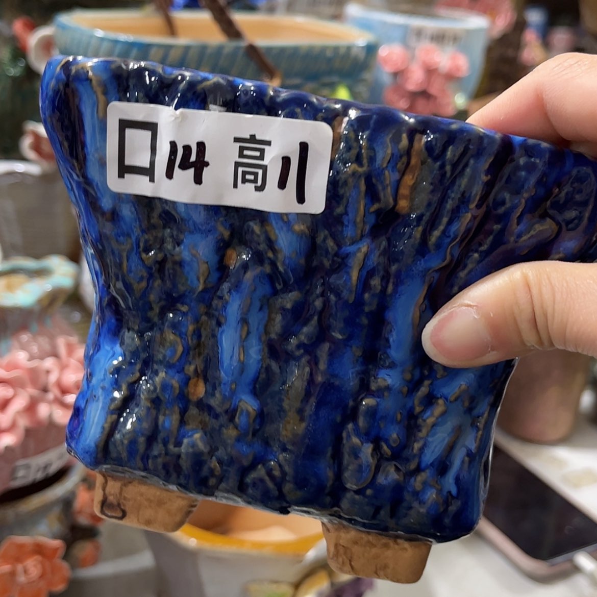 【闪购商品】红陶福利