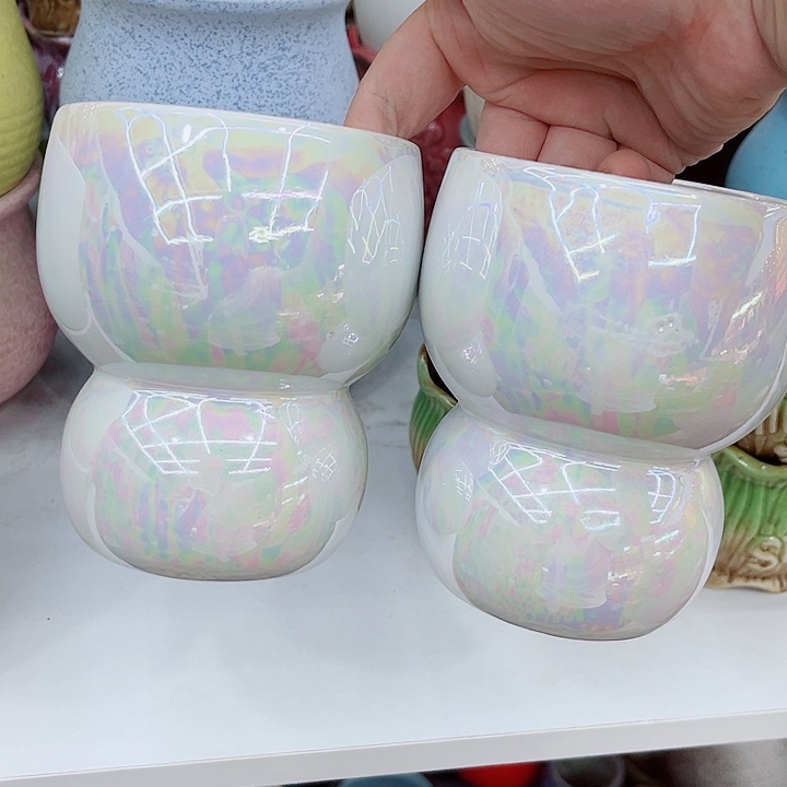 多肉植物陶瓷花盆