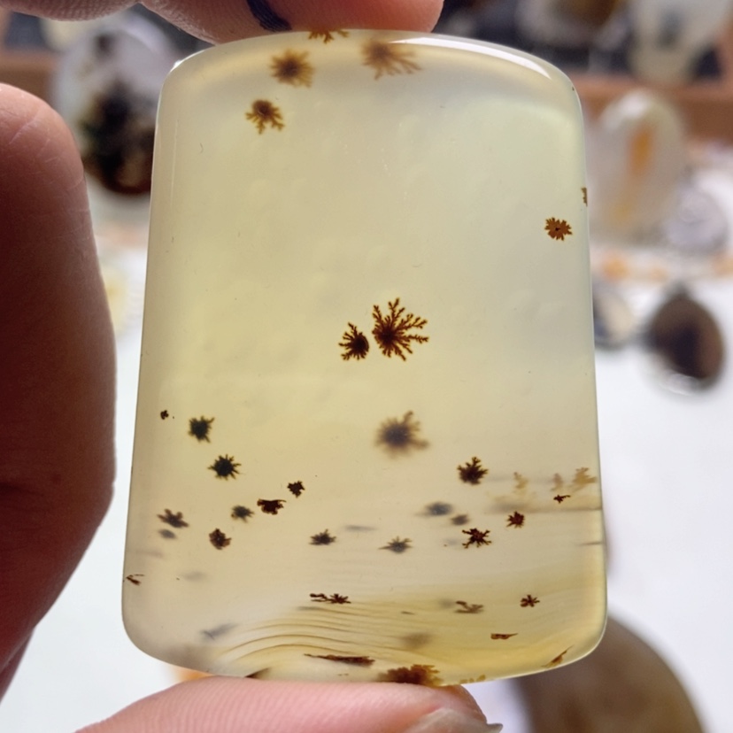 【闪购商品】玛瑙/玉髓颈饰未镶嵌