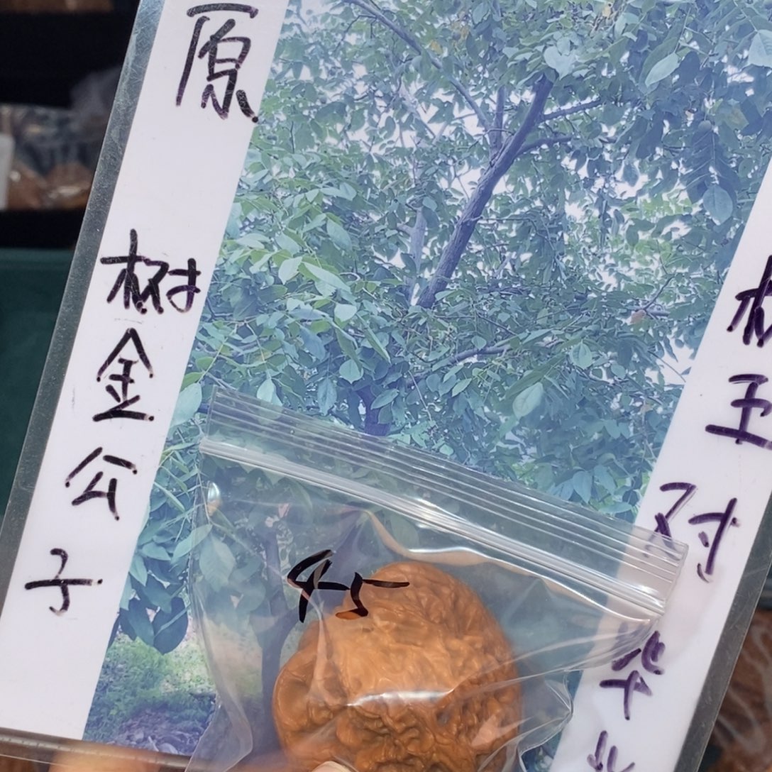 吊坠文玩核桃45金公子