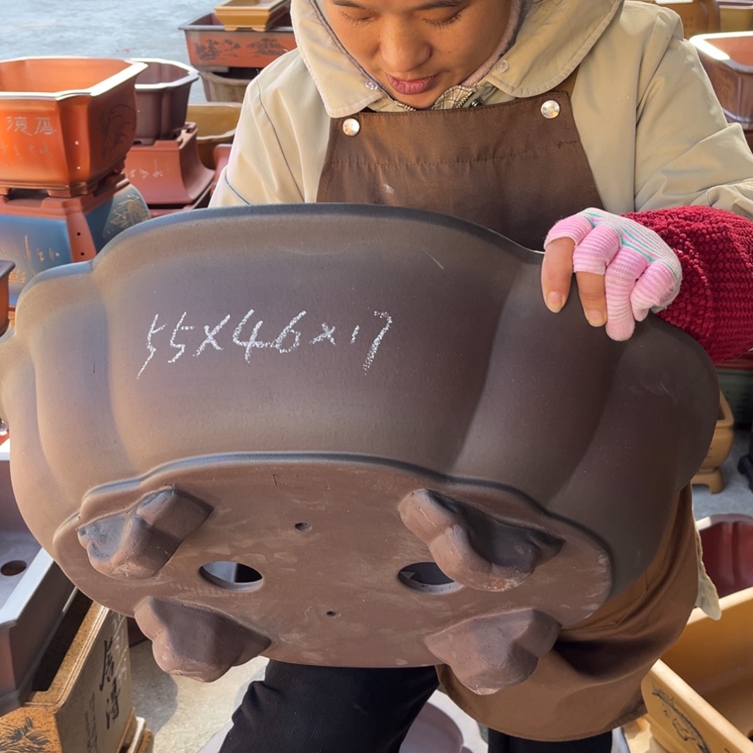 花盆紫砂盆景艺术