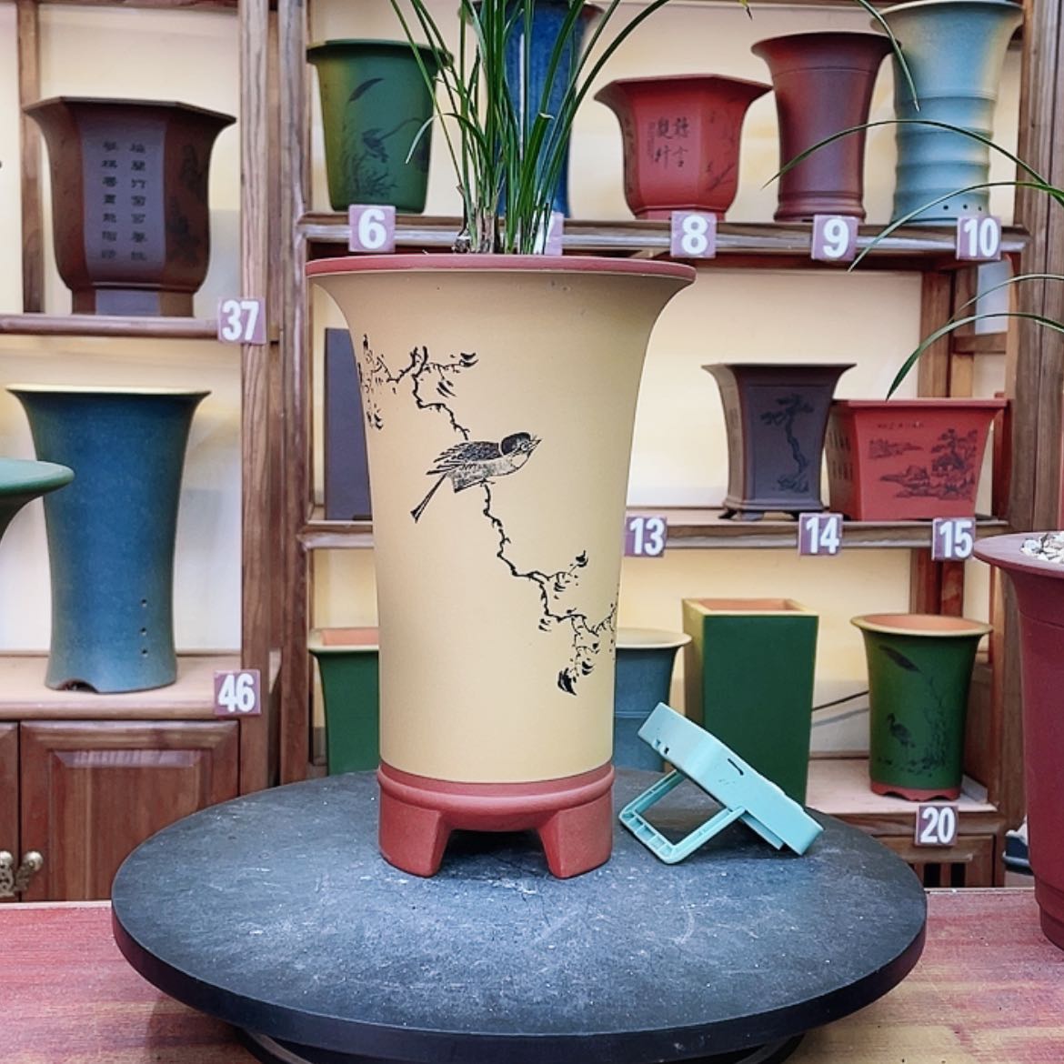 【闪购商品】紫砂花盆兰花455666655889555599