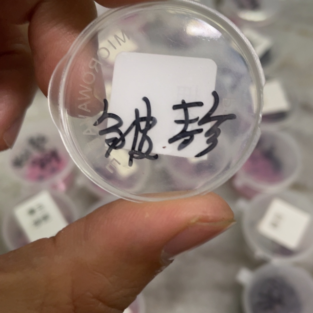 皱叶✖️珍妮20粒，新品