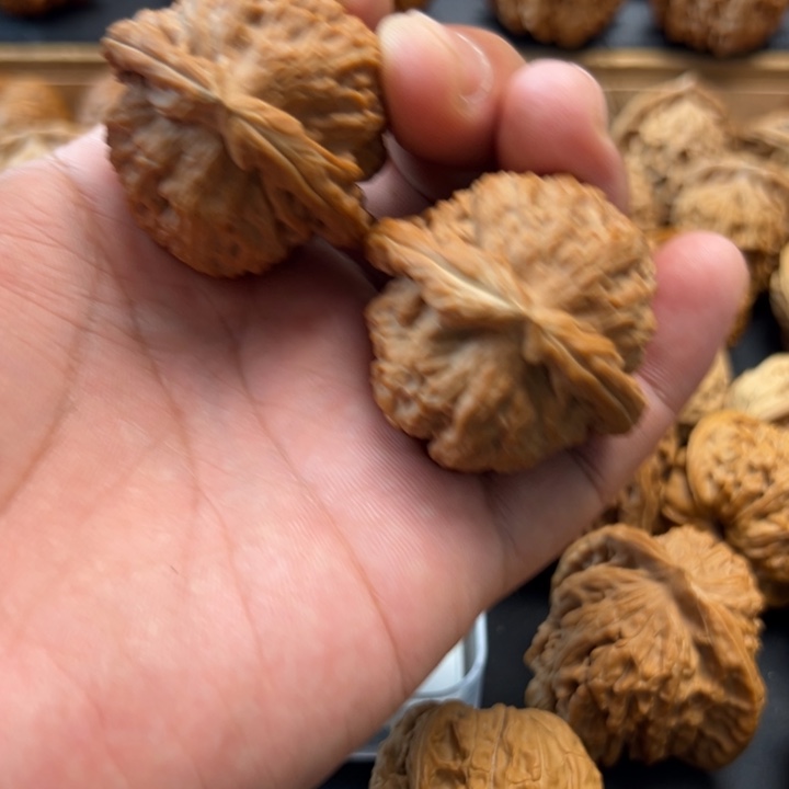 你***.把件桃核文玩核桃，白狮子头