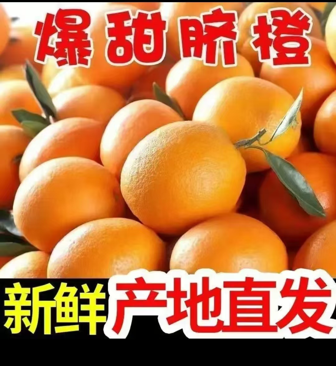 手剥脐橙赣南脐橙新鲜甜橙子当季水果脐橙产地直发正宗