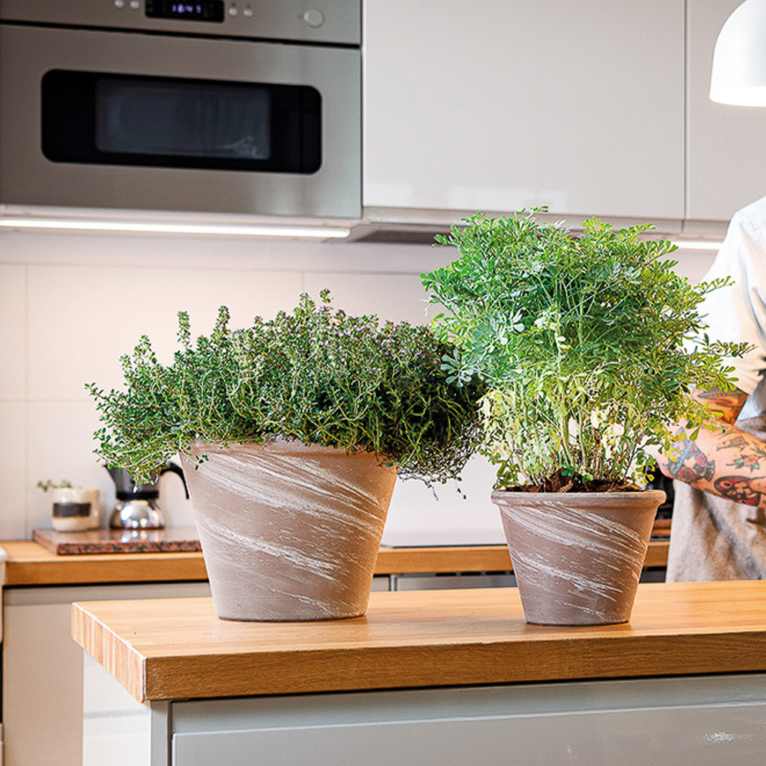 意大利进口陶土花盆 帝罗马带边高圆型盆银河盆绿植花卉种植盆
