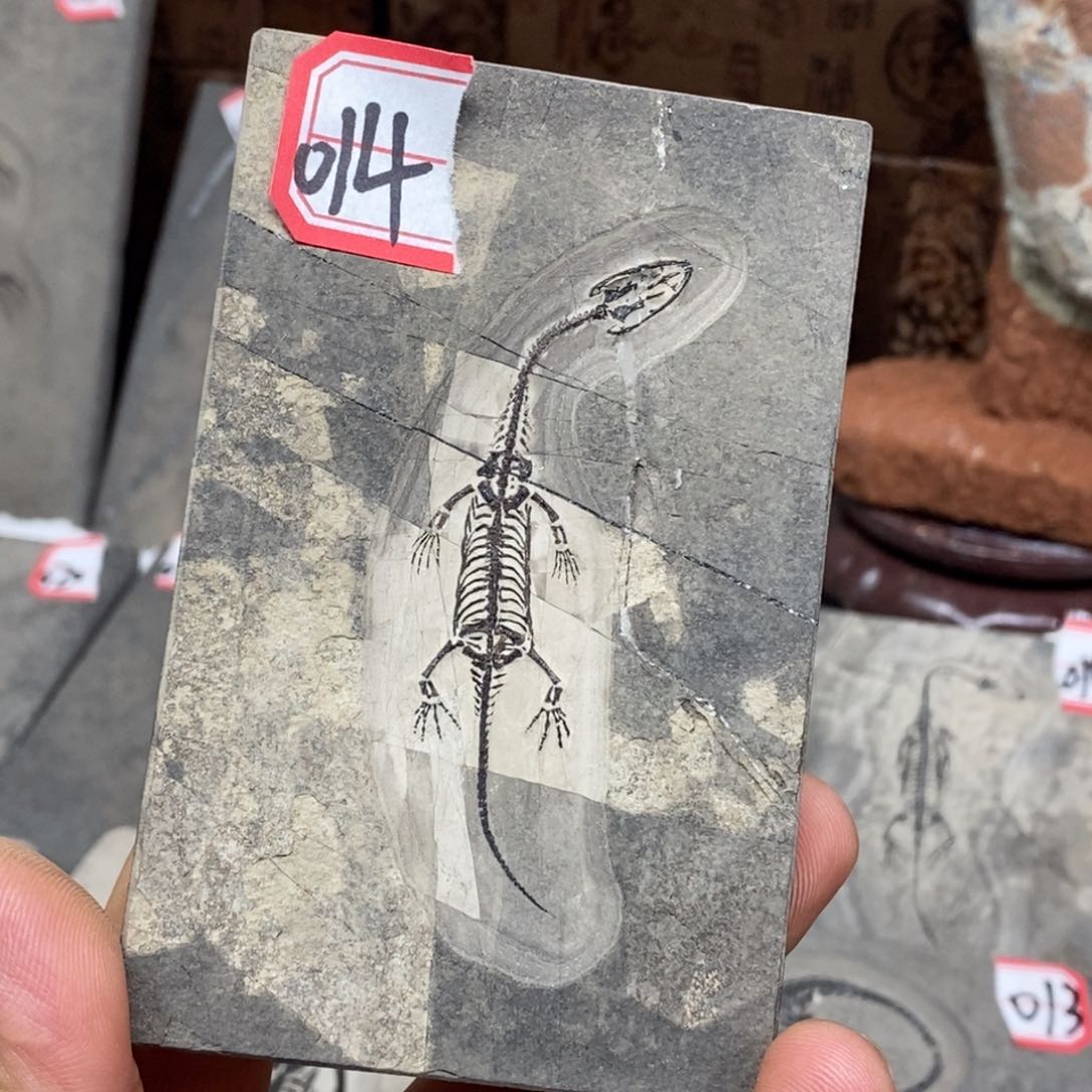 石材小**?大自然的秘密就是这样神奇