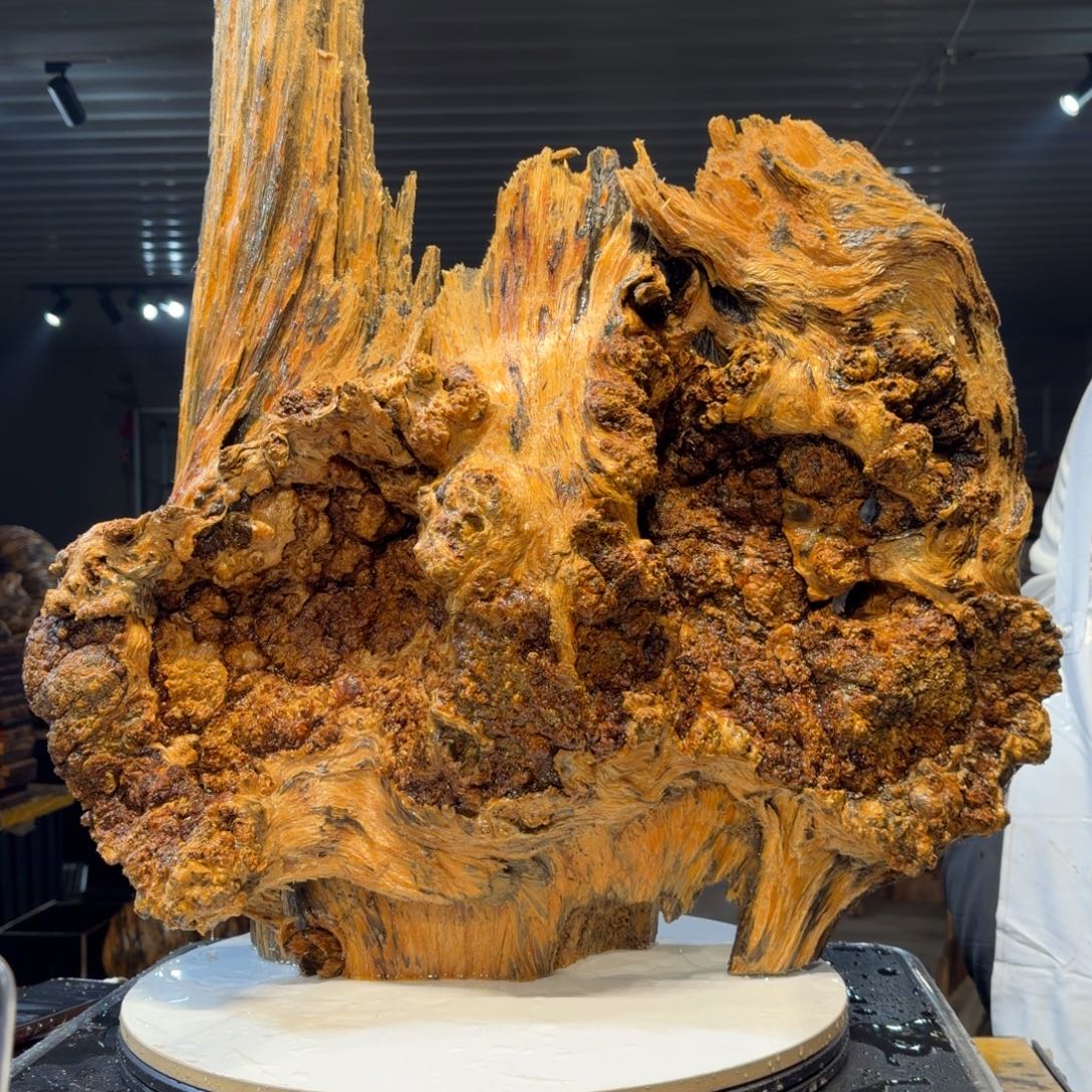 猎***鹰木王一刀琥珀木摆件49