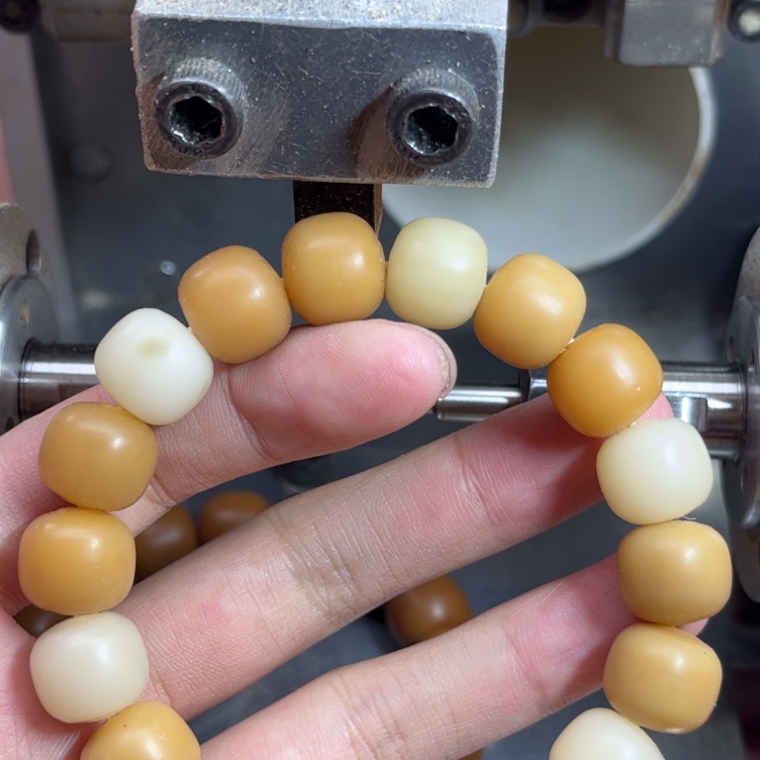 吊坠菩提根/象牙果