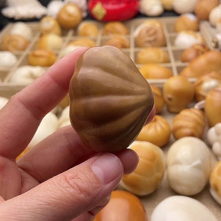 菩提根/象牙果吊坠深色贝壳