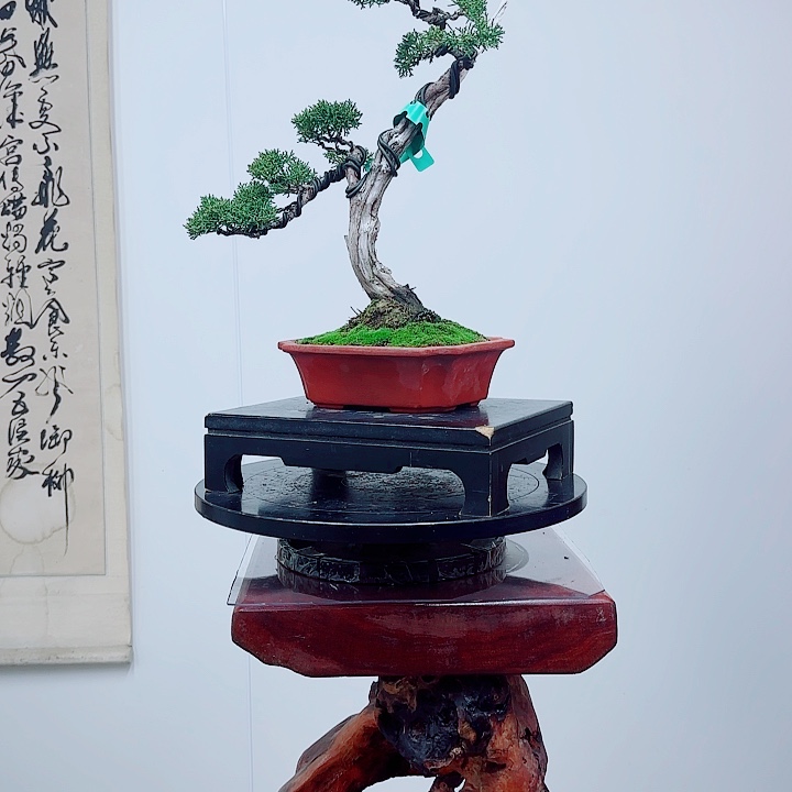 完全开放一物一拍济州