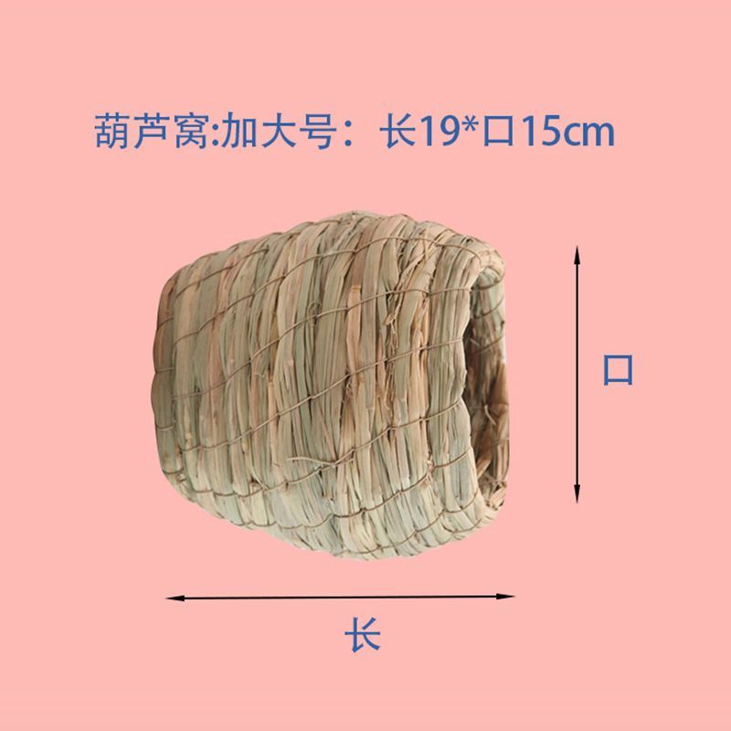 信鸽种鸽育种赛鸽圆环鸽优质成绩鸽