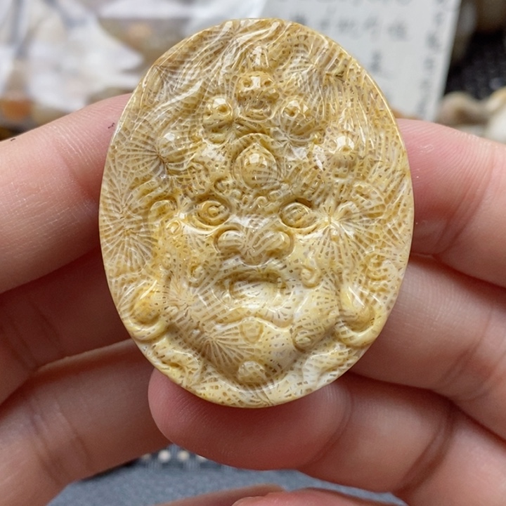 硅化珊瑚（珊瑚玉）颈饰未镶嵌