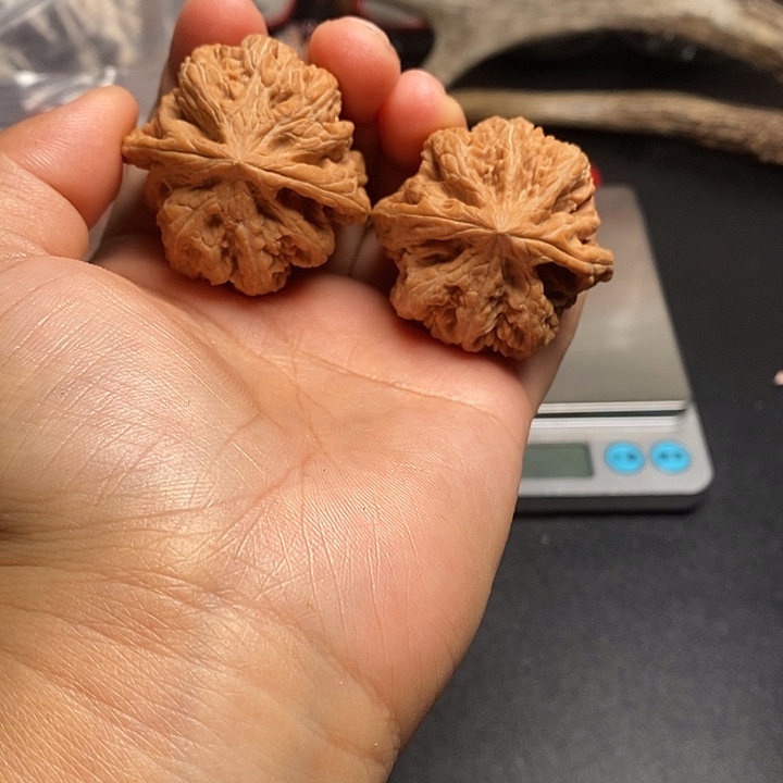 吊坠文玩核桃粗筋40