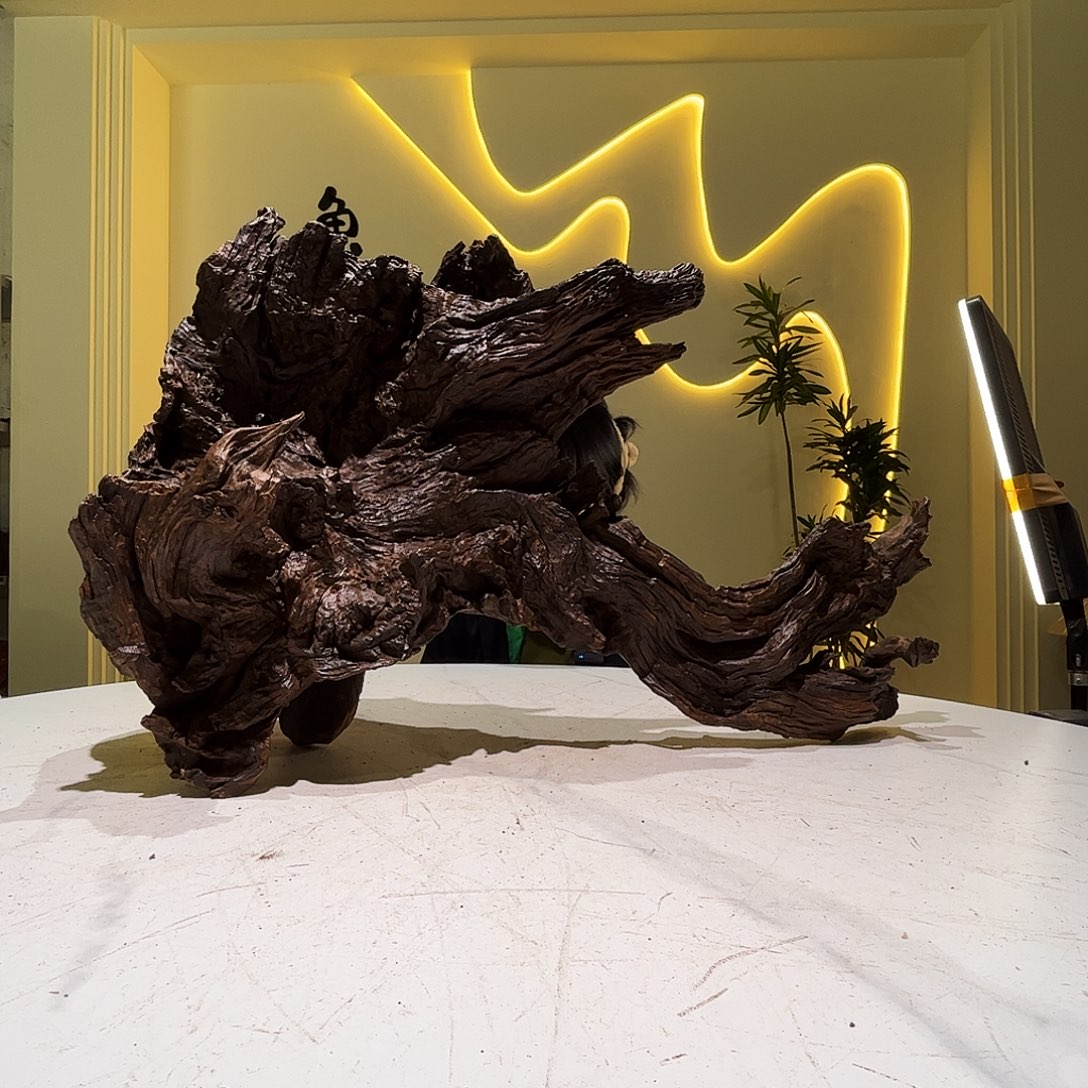 瓦当会黄黑红水74 29 40