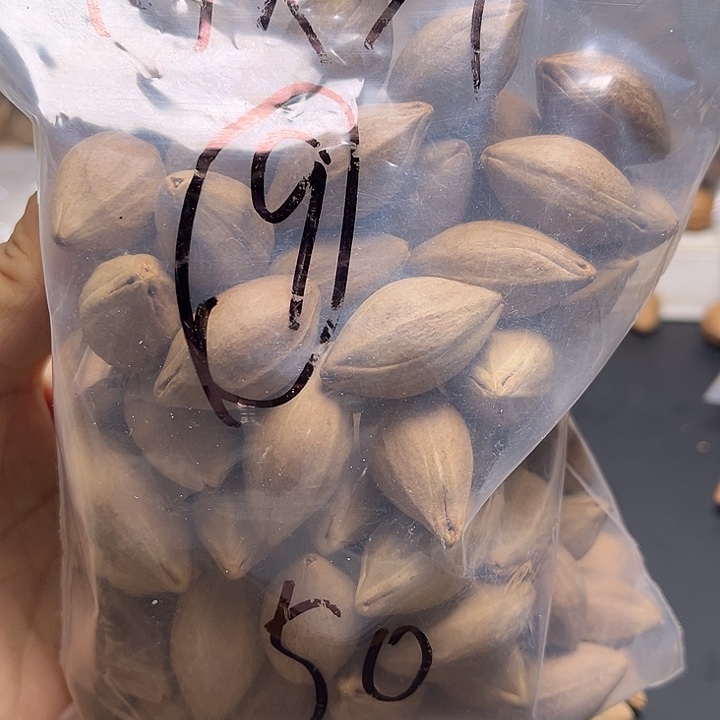 手串/手链橄榄核111