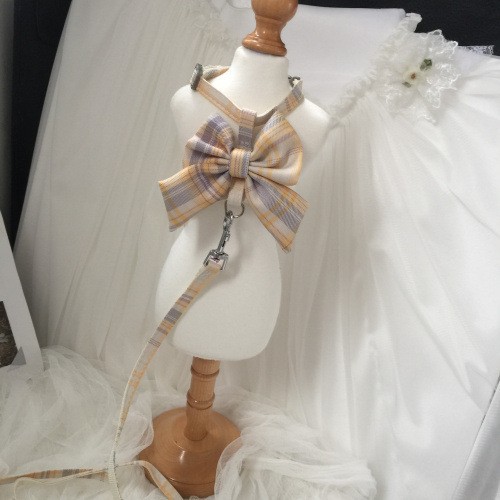 猫咪牵引绳防挣脱外出专用遛猫绳子溜猫链子狗狗宠物胸背带可调节