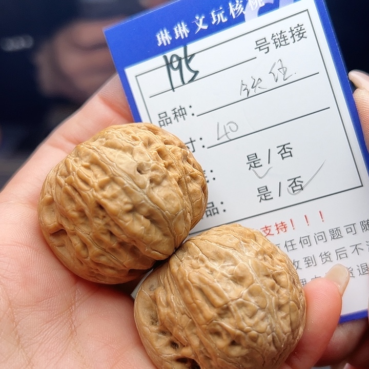 文玩核桃吊坠核桃树195