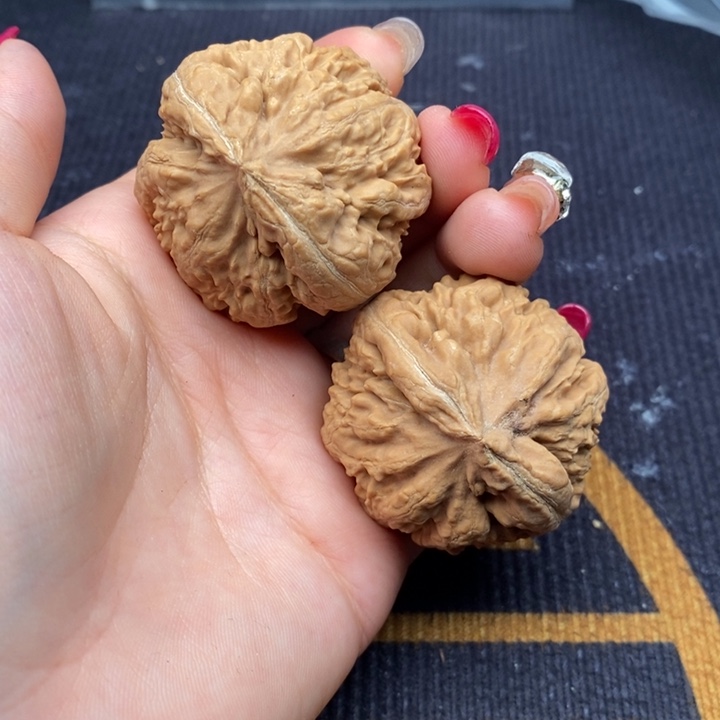 海***拍文玩核桃把件霸王龙