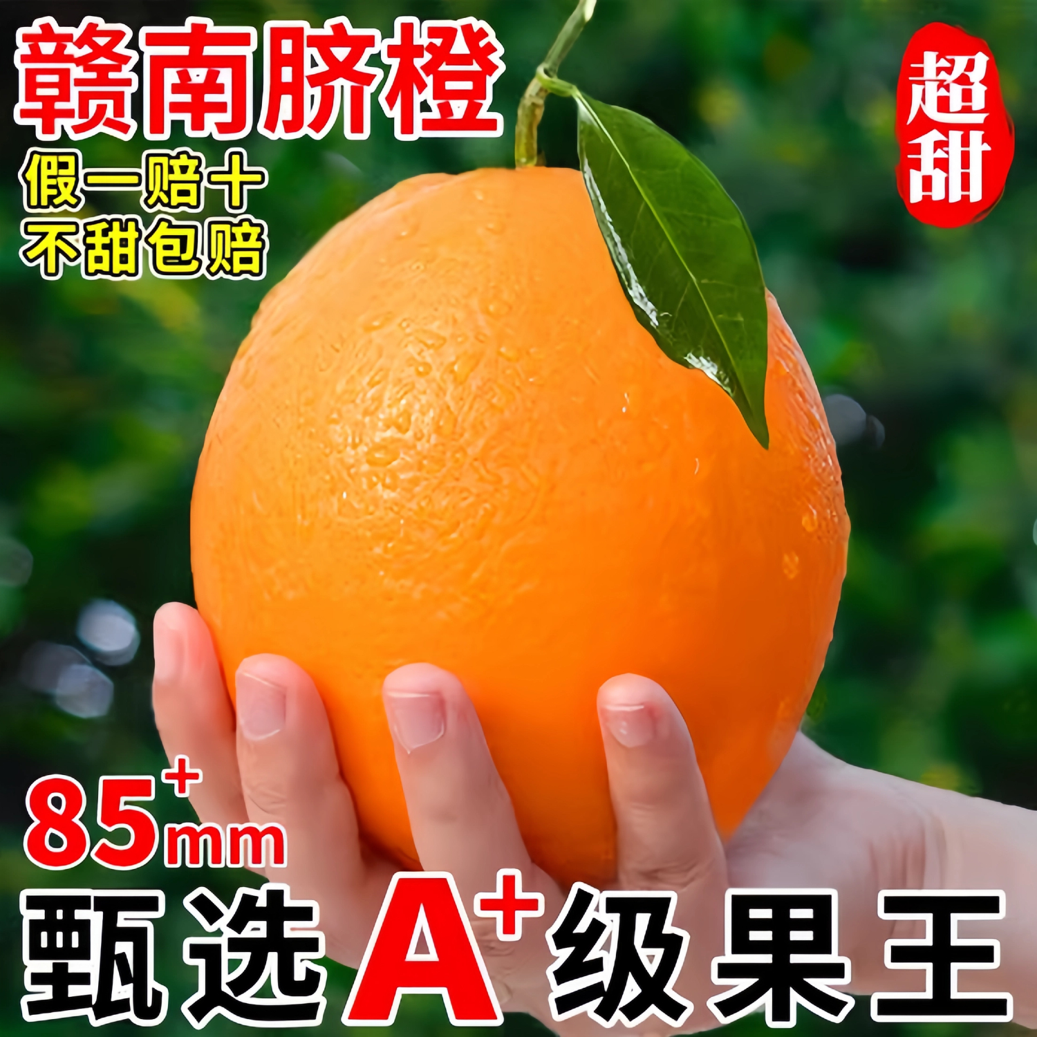 【热销】江西赣南脐橙新鲜大果现摘当季水果手剥甜橙子皮薄多汁早