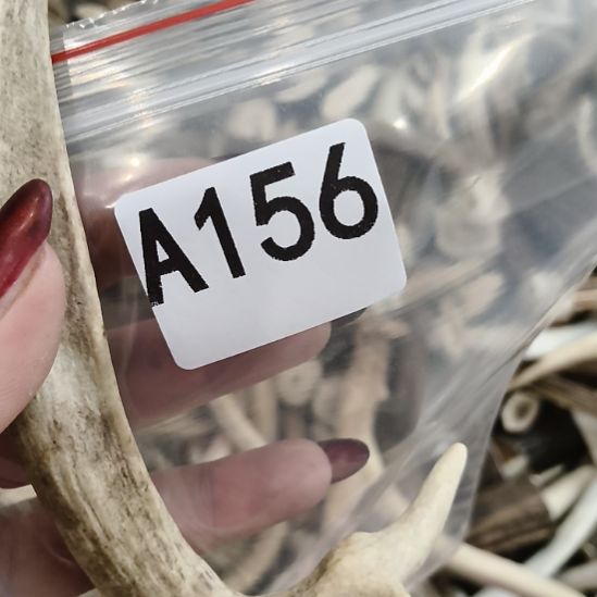 ****雨鹿角鹿角鹿角鹿角鹿角