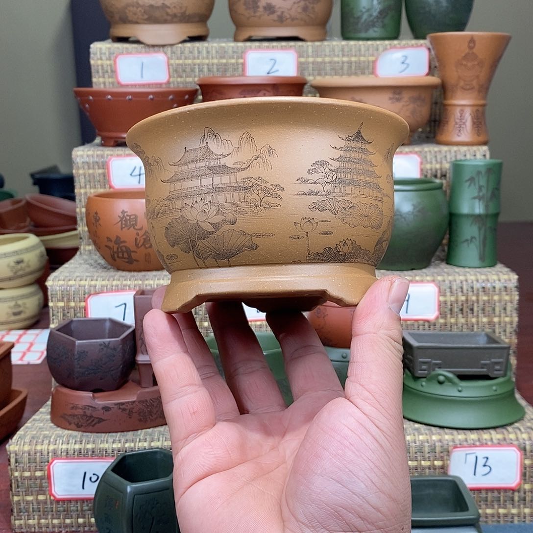 紫砂花盆我在等他