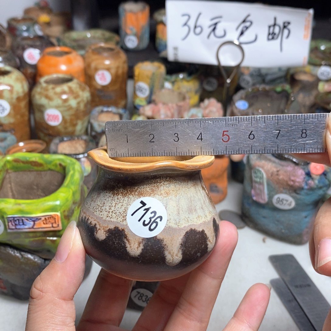 拍5送一个小礼物