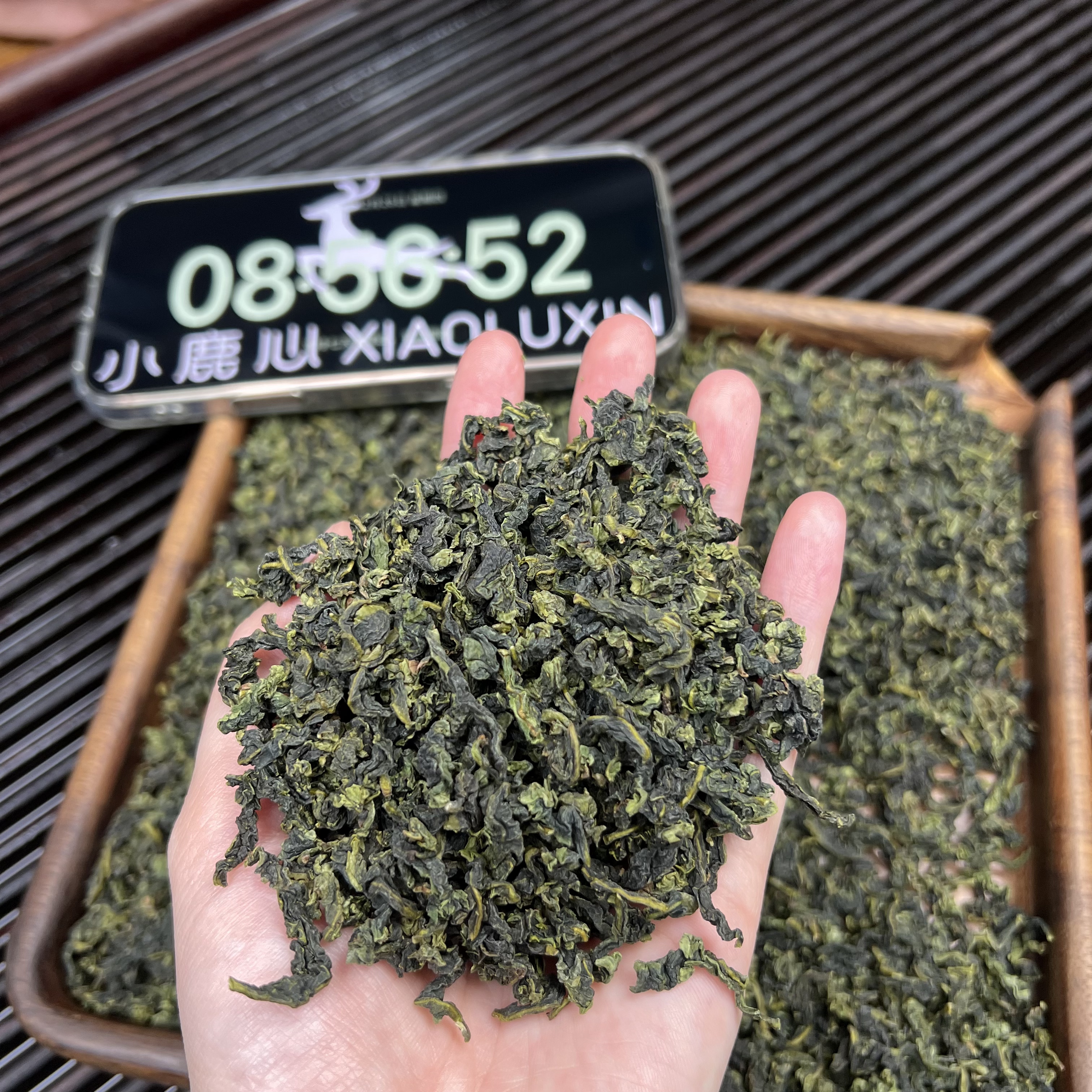 2025秋茶安溪铁观音 小鹿收茶 正味兰花香乌龙茶12月25